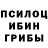 Галлюциногенные грибы Cubensis llakelin ramirez
