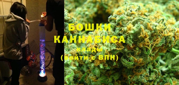 дмт Новозыбков