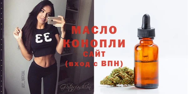 дмт Новозыбков