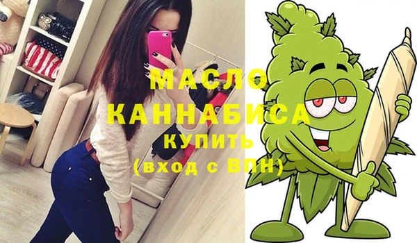 дмт Новозыбков