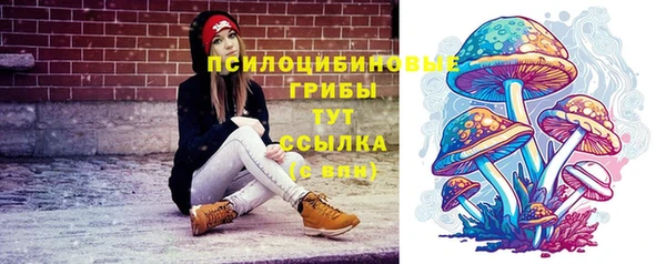 дмт Новозыбков