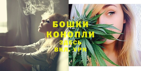 дмт Новозыбков