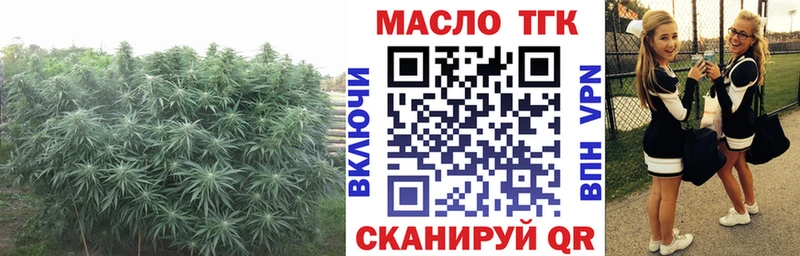 Дистиллят ТГК Wax купить Александровск-Сахалинский