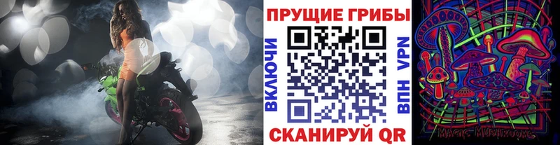 где купить   Александровск-Сахалинский  Псилоцибиновые грибы GOLDEN TEACHER 