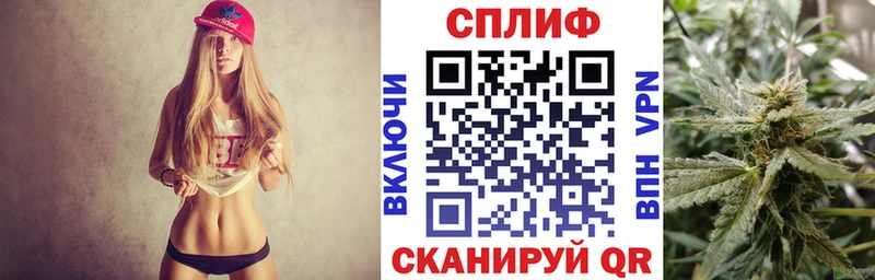 где купить наркоту  Александровск-Сахалинский  Бошки марихуана сатива 